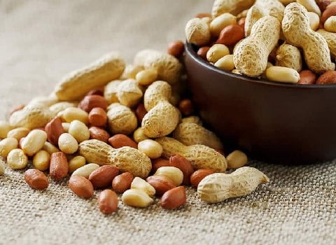 بادام زمینی مخصوص کارخانجات صنایع غذایی + بادام زمینی خام دشت مغان